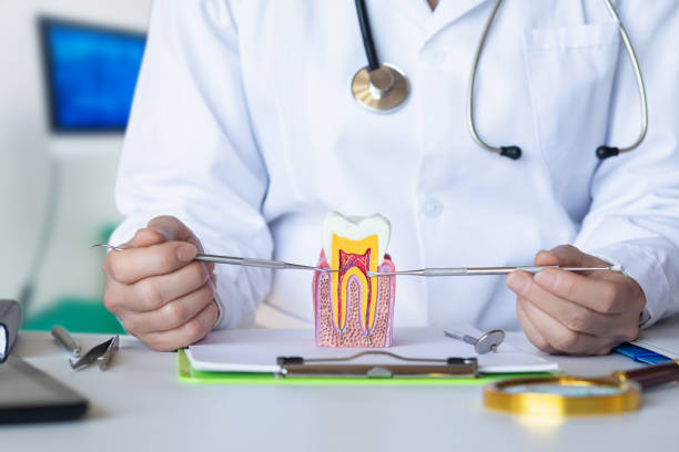 Best After-Hours Emergency Dentist in Lake Lakengren, OH
